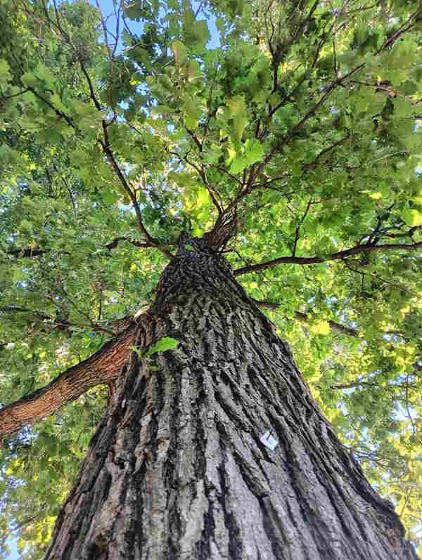 Formazione 9b37a2d1 87d8 400a 92db 5ab5f08cb2b7